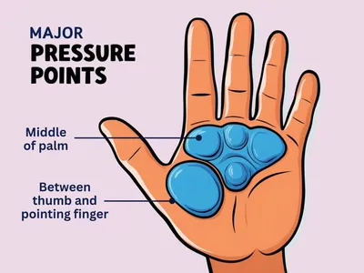 Calm in Your Palm